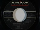 Funk 45 SOUL Can You Feel It/Love, Peace And Power on Musicor