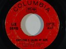 Northern Soul 45 LEE DAVID Temptation Is Calling My Name on Columbia