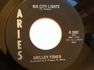 SHELLEY FISHER - BIG CITY LIGHTS - NORTHERN SOUL 7