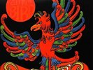 RARE BIRD 1st LP 1969 w. Sympathy UK Prog Psych Procol Harum Cressida MINT VINYL