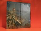 BRASS FEVER - TIME IS RUNNING OUT - ABC 1976 FUNK *SEALED* LP VINYL RECORD -Z