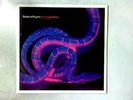 The Sound Of Eden (Every Time I Se (Shades Of Rhythm - 1991) ZANG 22T (ID:15535)
