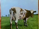 PINK FLOYD LP ATOM HEART MOTHER 1974 GERMANY REISSUE VG++/EX