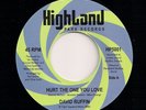 NORTHERN SOUL 45 - DAVID RUFFIN - HURT THE ONE YOU LOVE -  HIGHLAND, LEVINE MIX