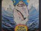 STEVE HILLAGE: Fish Rising LP (saw mark, corner bump, minor cw) Rock & Pop
