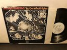 Dave Clark Five: You Got What It Takes (stVG Epic LN-24312 WHITE LABEL PROMO LP)
