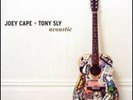 JOEY CAPE & TONY SLY-ACOUSTIC (UK IMPORT) VINYL NEW