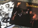 The Black Crowes 
