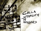 CALLA STRENGTH IN NUMBERS * NEW VINYL