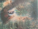 PINK FLOYD - A SAUCERFUL OF SECRETS - 12” VINYL LP. SCX 6258. EMI COLUMBIA VG+