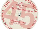 Style Council, The - Promised Land, 12