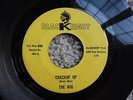 The Wig Cracking Up Bluescene Blacknight 903 VG++ Texas Garage