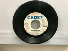 Jean DuShon ?– Feeling Good - single sided promo Cadet Northern Soul