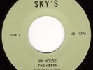 RARE 1975 ROOTS REGGAE - THE MEEKS - MY HOUSE - ORIG SKY'S 7