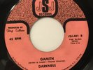 Rare Funk Breaks/Sweet Soul 45 GAMITH Darkness JSJ HEAR