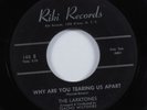 Doo Wop 45 LARKTONES Why Are You Tearing Us Apart RIKI HEAR