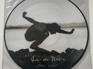 EDDIE VEDDER Into The Wild PICTURE DISC Vinyl LP Promo Only 300 Made PEARL JAM
