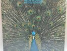 LA4 - Pavane Pour Une Infante DÃ©funte / VG+ / LP, Album