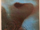 Pink Floyd Meddle Original Italian Press Vinyl LP NM Harvest Records 1971 Italy