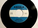 ANGIE & THE CITATIONS Headache 45 Angela RARE CRAZED PA INSTRO GARAGE SURF HEAR