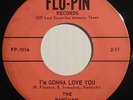 THE HANGMAN (HANGMEN) I'm Gonna Love You 45 FLO-PIN  TEXAS GARAGE ROCK