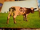 PINK FLOYD ORIG ATOM MOTHER ORIG 1978 FRENCH VINYL  LP