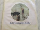 Nine Inch Nails - The Downward Spiral - Test Pressing Picture Disc - NIN - Rare