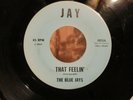Rare Northern Soul 45-The BLUE JAYS-That Feelin'/Point Of View-Jay 4815-SVG-1965