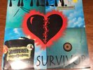Fifteen ?– Survivor - VG+ Vinyl LP Record