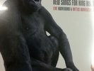 HUGH CORNWELL NEW SONGS FOR KING KONG RATTUS NORVEGICUS LIVE VINYL LP STRANGLERS