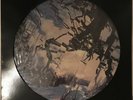 BAUHAUS BURNING FROM THE INSIDE LP PICTURE DISC BEGGARS BANQUET NEAR MINT