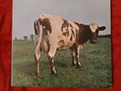 LP Pink Floyd ?– Atom Heart Mother 1° Stampa 1970 Europa VG+ Vinile 33