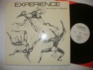 EXPERIENCE 