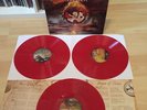 The Gentle Storm The Diary RED Vinyl Lp Signed By Anneke & Arjen RAR Ayreon