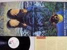 LONNIE LISTON SMITH VISIONS OF A NEW WORLD FLYING DUTCHMAN BDL1-1196 Japan LP