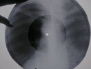 Beatles - Strawberry Fields Forever  X-RAY USSR ROENTGEN Bones Record