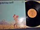 MORNING DEW AT LAST ORIG LP 1970 ROULETTE GARAGE PSYCH MONSTER SR 42049