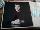 Nick Cave And The Bad Seeds The Firstborn Is Dead LP Original