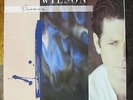 BRIAN WILSON LP VINYL 925669-1 SIRE