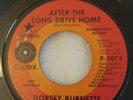 Dorsey Burnett New Orleans Woman After the Long Drive Home 45 Promo