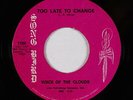 Funk Gospel 45 - Voice Of The Clouds - Too Late To Change - Song Bird - VG++ mp3