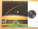 BLUE SYSTEM LP: WALKING ON A RAINBOW/6 MAXI VERSIONEN (EUROPE; Hansa 210 218)
