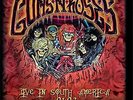 GUNS & ROSES LIVE IN SOUTH AMERICA 91-93 VINYL LP RECORD PICTURE DISC