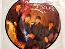 BEATLES Picture Disc LP: PLEASE PLEASE ME & ASK ME WHY     in Original Sleeve