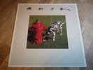 Rush LP Signals UK Mercury 1st press WONDERFUL COPY