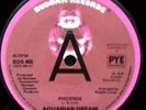 Aquarian Dream - Phoenix  7