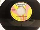 Sharpees - Go on and laugh - Get it together  - Northern Soul Records - 45s