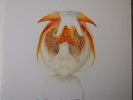 Kings Of Leon - Aha Shake Heartbreak LP vinyl (Ltd, Whi) label CGO 02 US 2004