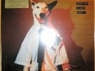 NEU 180g Vinyl LP Rick Springfield ?– Working Class Dog Music on Vinyl