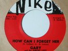 northern soul doo-wop 45 Gary & the Knight Lites NIKE hear